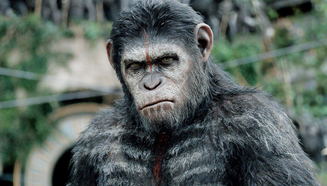 Megérkezett a War for the Planet of the Apes film szinopszisa
