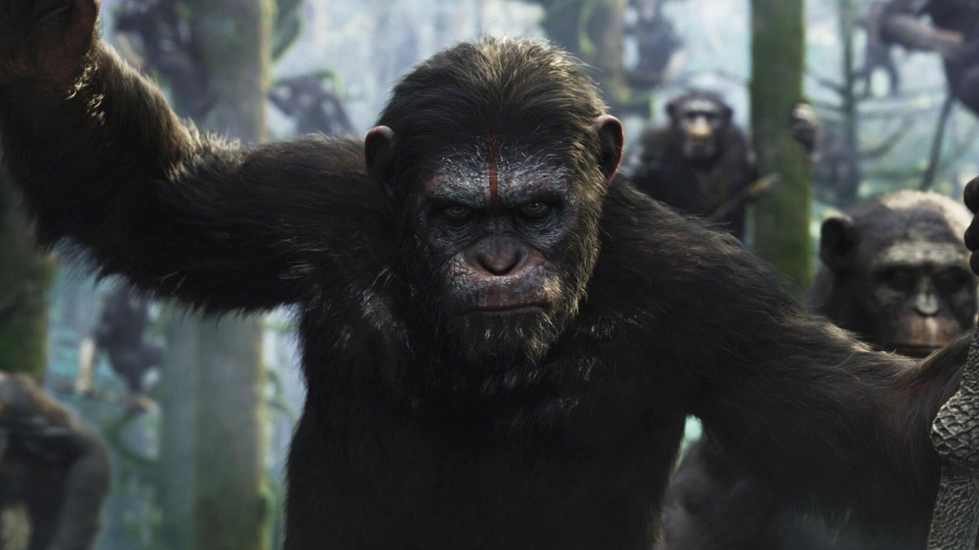A hírek szerint a Disney elégedett A majmok bolygója 4. rész forgatókönyvével