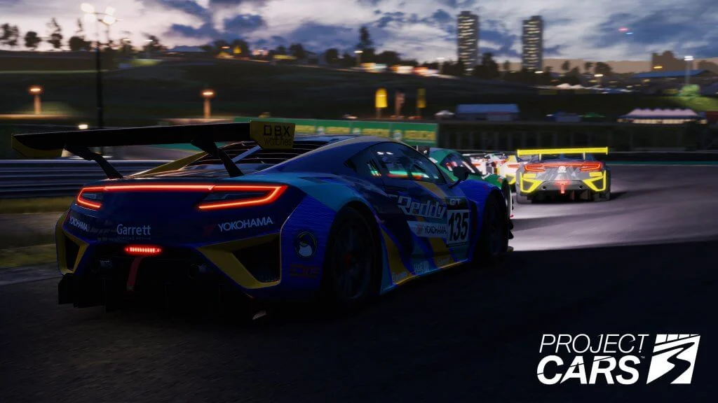 AcuraNSXGT3 Interlagos 9