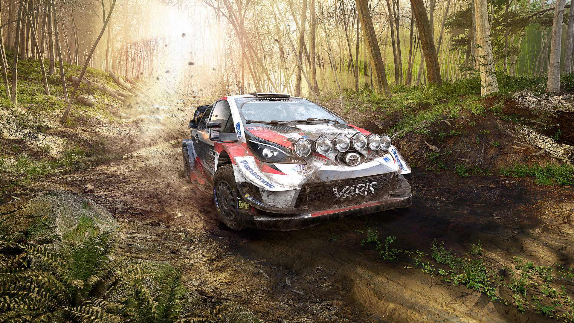 TESZT: WRC 9 FIA World Rally Championship