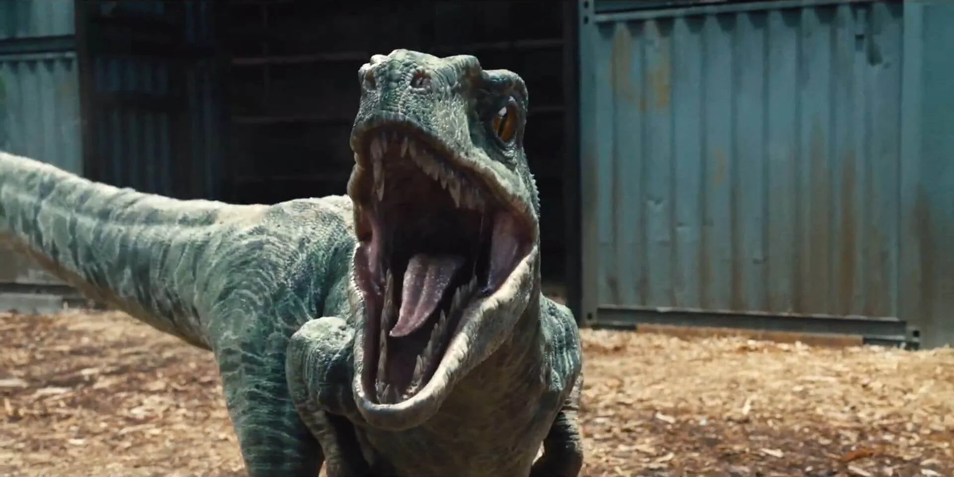 Chris Pratt motoron menekül a Jurassic World: Világuralom új, sokkal halálosabb raptora elől