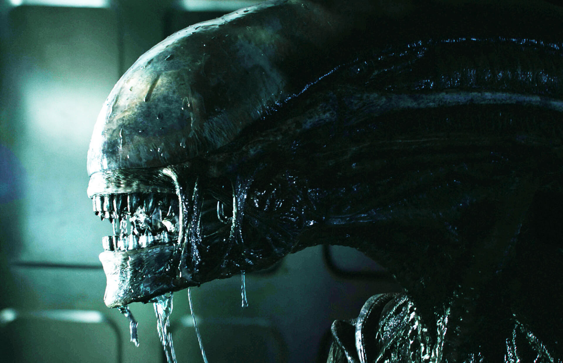 Noah Hawley érdekes új részleteket osztott meg a készülő Alien FX-sorozatáról, és ettől csalódottak lesznek a rajongók