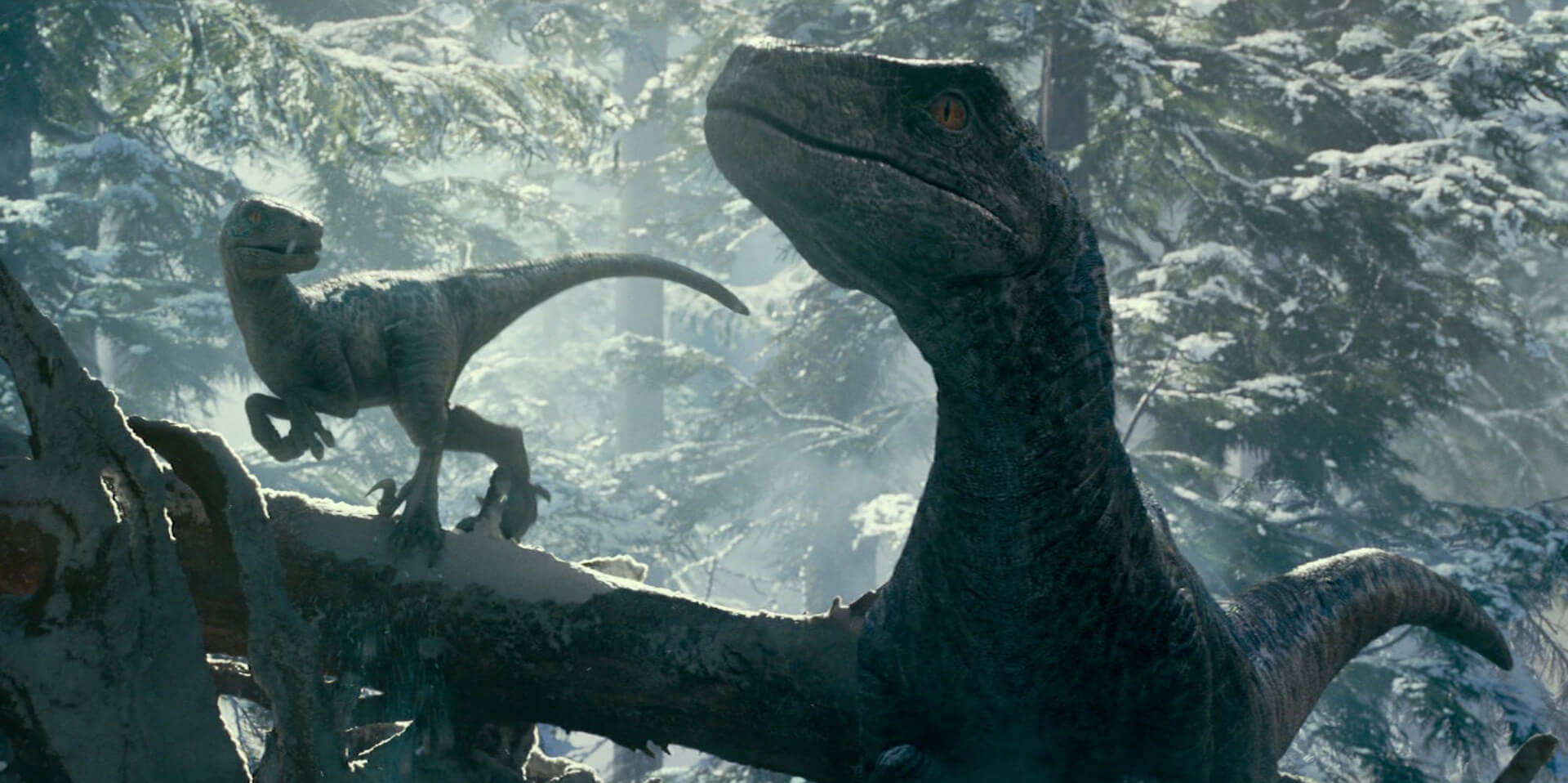 A Jurassic World: Világuralom előzetesében azt látjuk, ahogy a Földet a dinoszauruszok uralják, és a régi barátok pedig összefognak