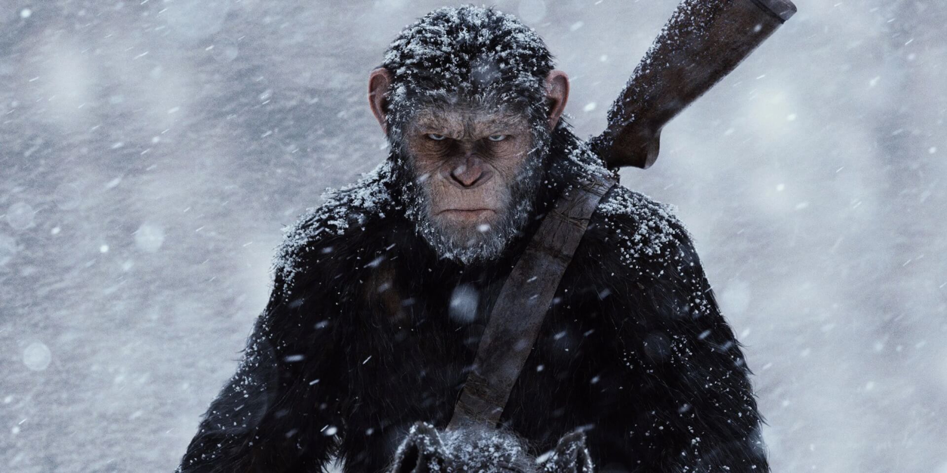 Bejelentették az új A majmok bolygója filmcímét, a szereplőgárdát és az első képet is megosztották