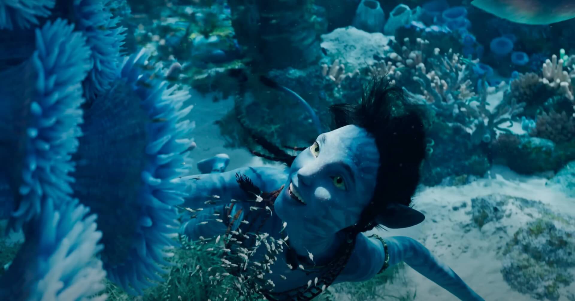 Zoë Saldaña majdnem öt percig tartotta vissza lélegzetét az Avatar: A víz útja víz alatti jeleneteinek forgatásán