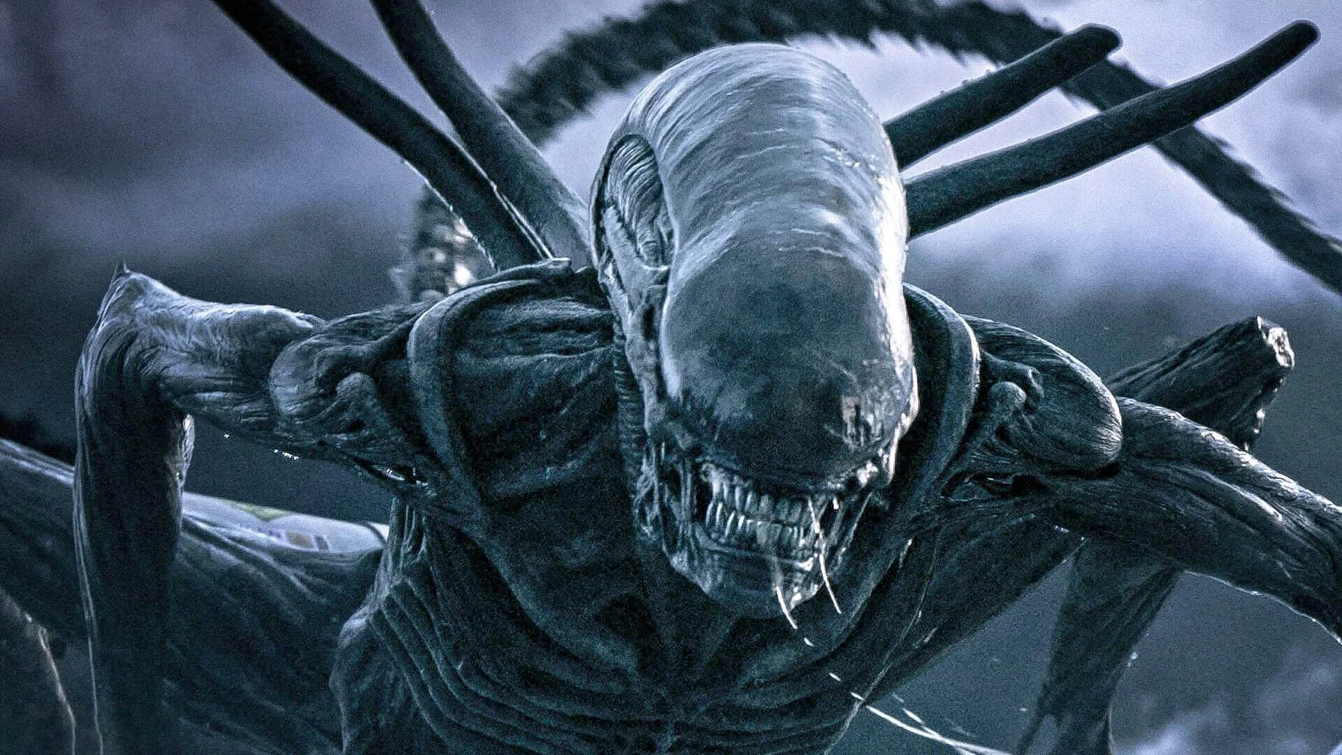 Az Alien első hivatalos képén egy ikonikus lény látható