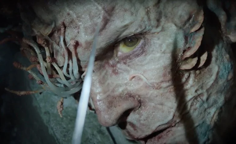 A The Last of Us után a tudósokat is foglalkoztatja a kérdés: a Cordyceps veszélyt jelent az emberiségre?