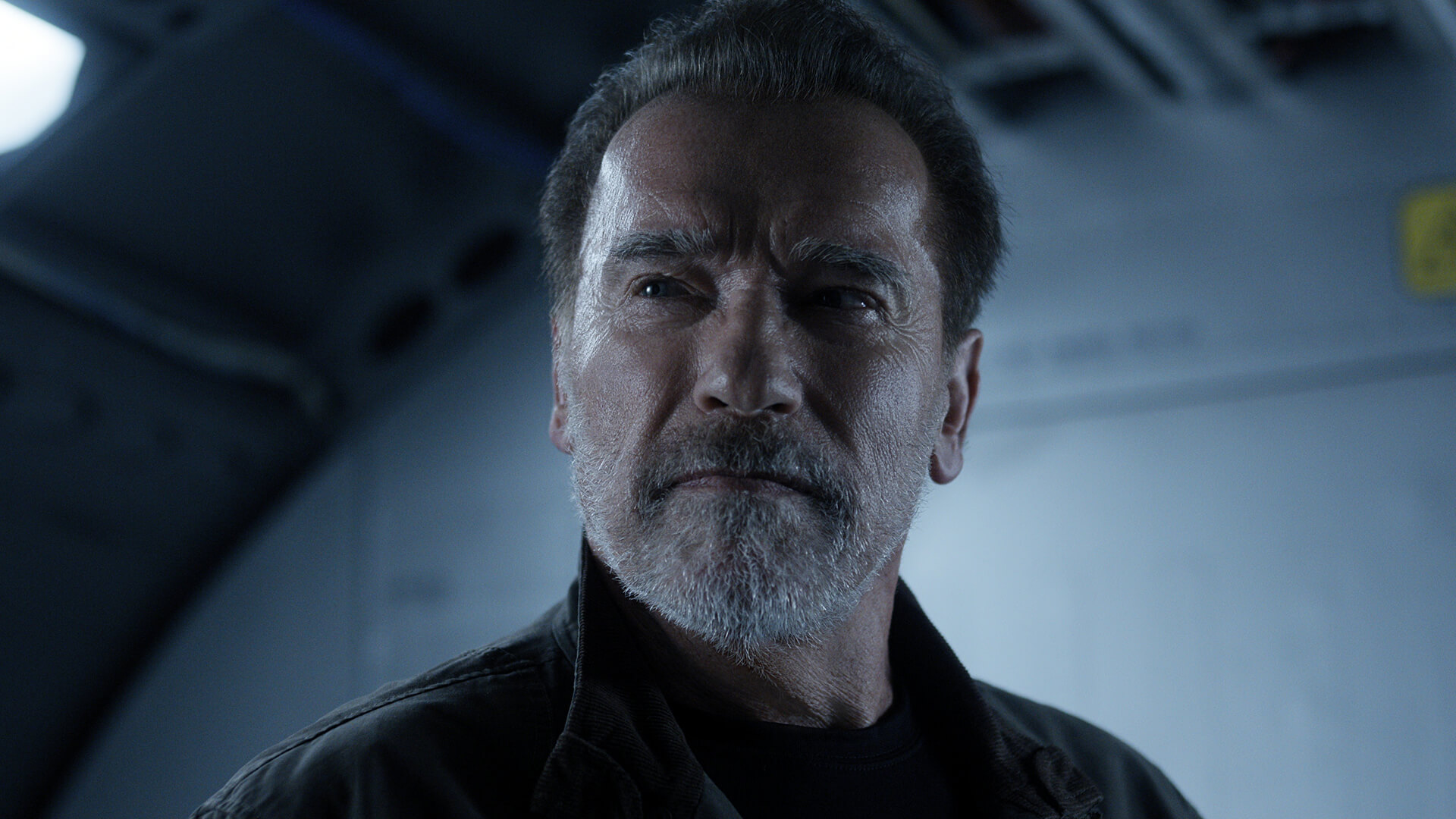 Netflix has ordered Fubar Season 2, starring Arnold Schwarzenegger