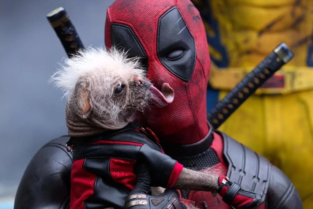 Deadpool & Rozsomák kritika 8 Deadpool (Ryan Reynolds és Dogpool)