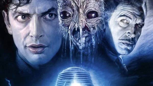 The fly