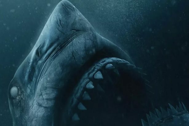 47 Meters Down: Uncaged