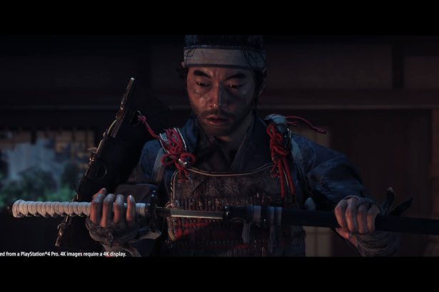 49619563952 49c029b3f3 k