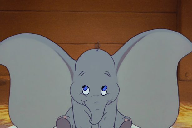 Dumbo Ears mini