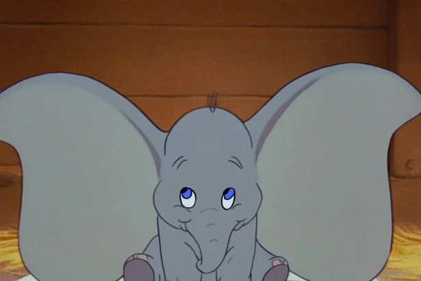 Dumbo Ears mini