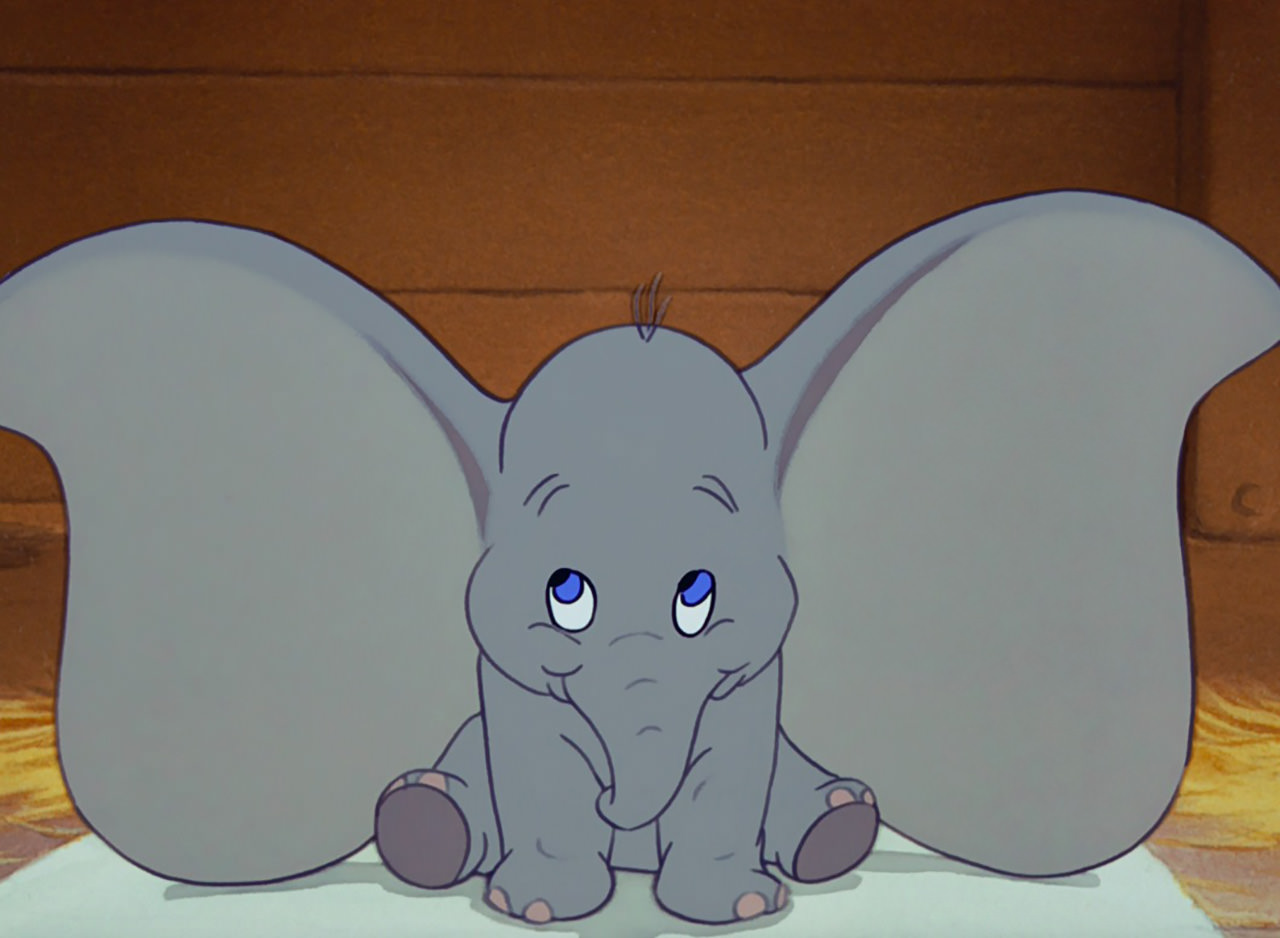 Dumbo Ears mini