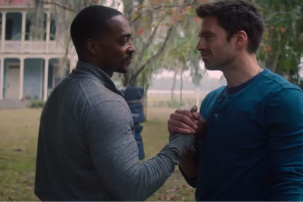 The Falcon and the Winter Soldier