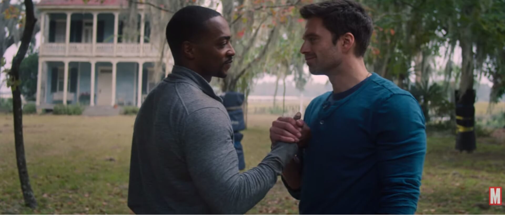 The Falcon and the Winter Soldier