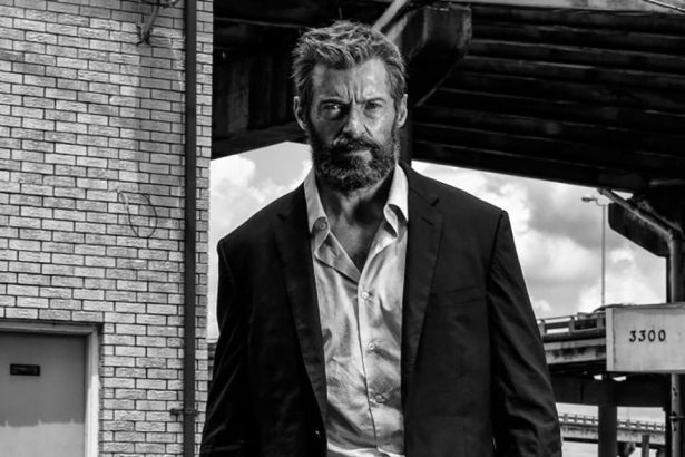 Logan - Farkas