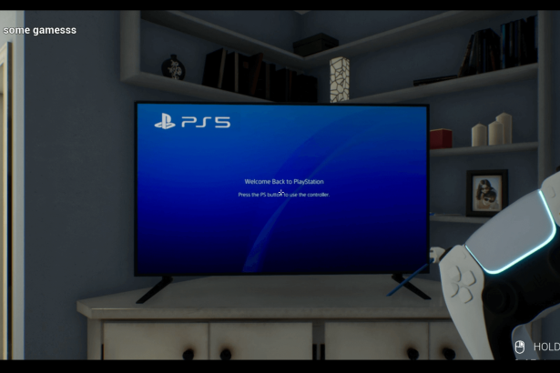 PS5 sim