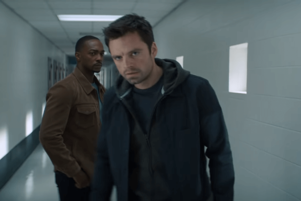 The Falcon and the Winter Soldier