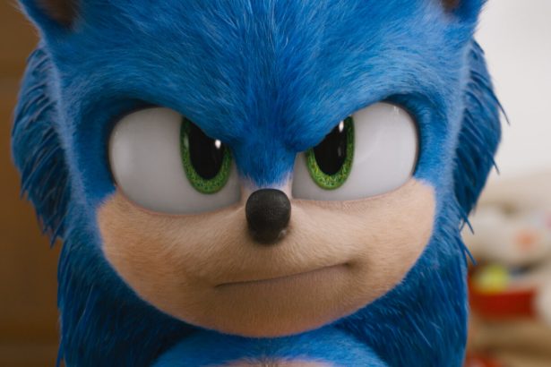 Sonic, a sündisznó