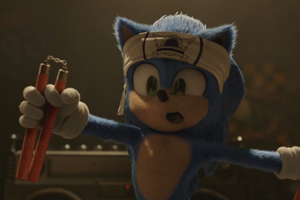 Sonic, a sündisznó