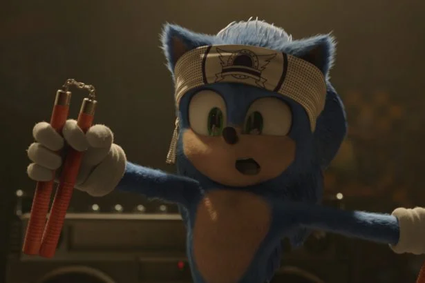 Sonic, a sündisznó