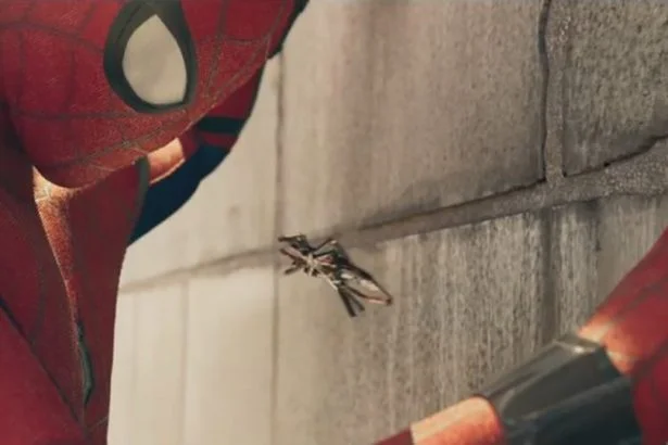 Spider Man Homecoming Trailer 02 1024x431 mini