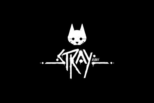 Stray