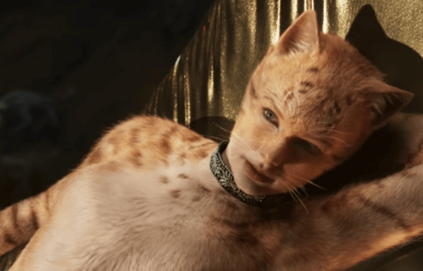 Taylor Swift CATS