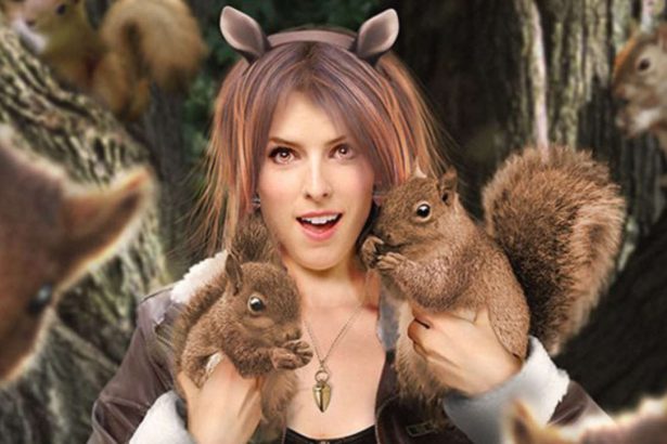 anna kendrick squirrel 188650 1280x0 1