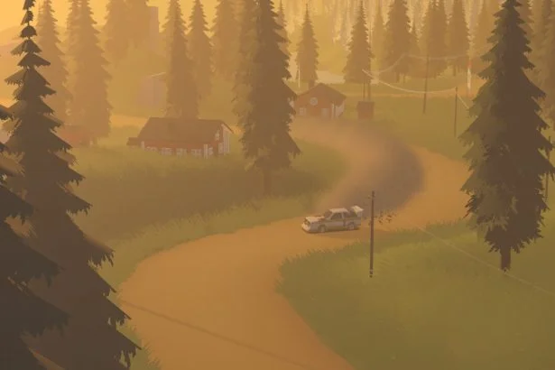 art of rally
