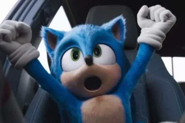 Sonic, a sündisznó