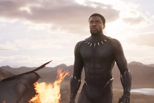 black panther chadwick boseman mini