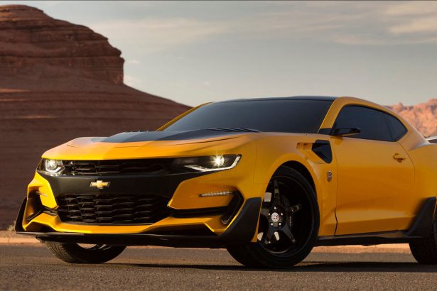 bumblebee