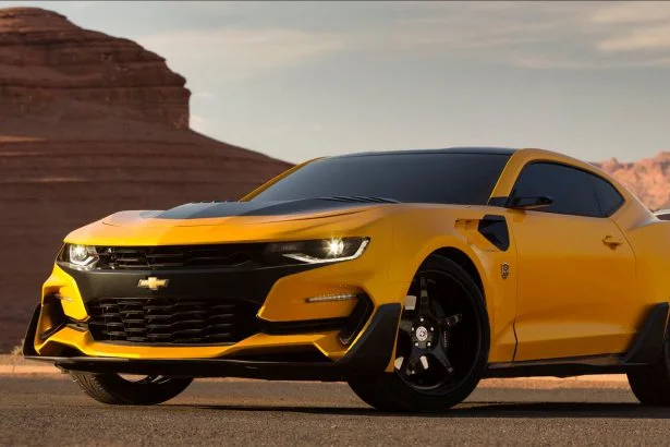 bumblebee