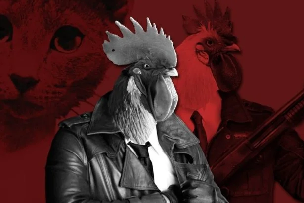 chickenpolice