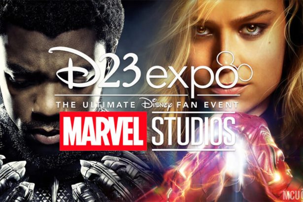 D23