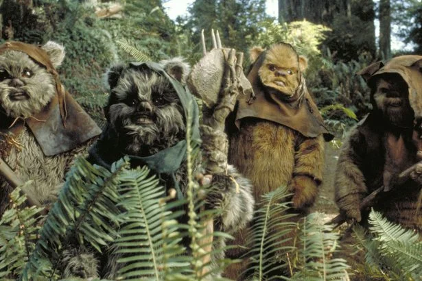 databank ewok 01 169 747db03a
