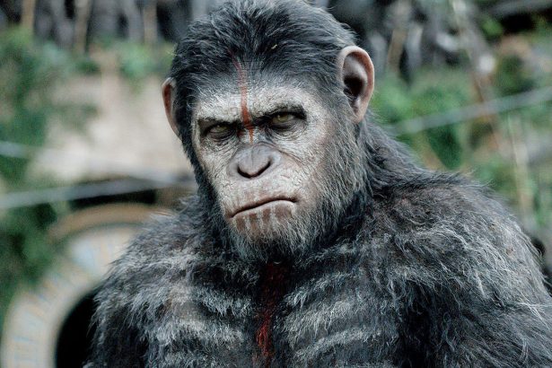 dawn of the planet of the apes mini