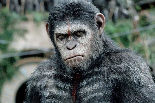 dawn of the planet of the apes mini
