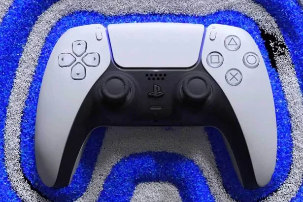 ds