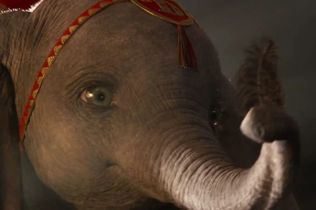 dumbo 1