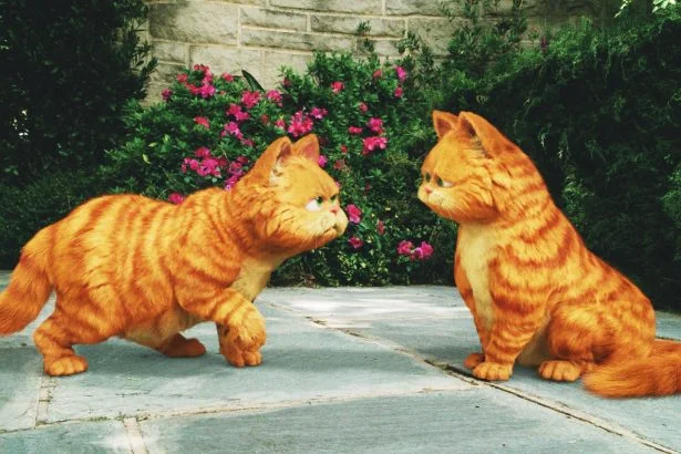 garfield 4 meselandia