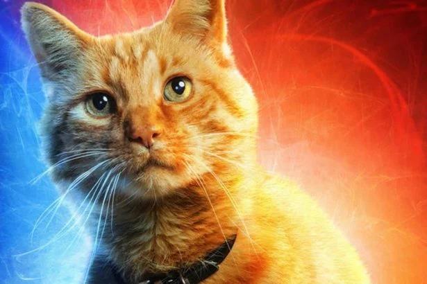 Marvel Kapitány Goose