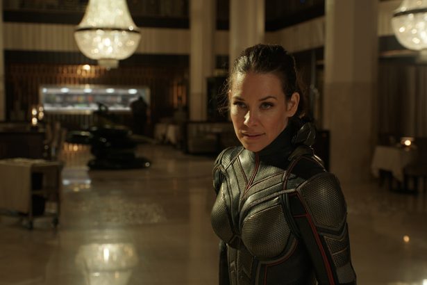 A Hangya és a Darázs