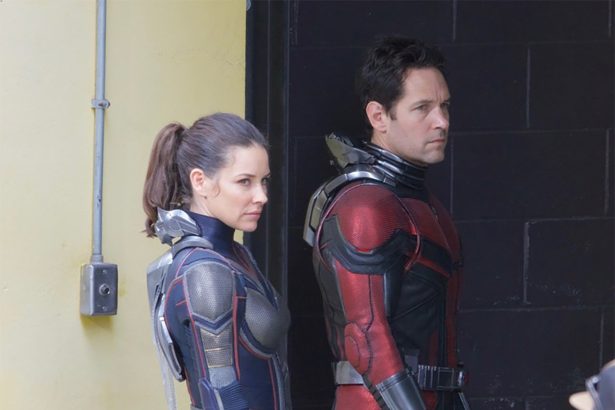 A Hangya és a Darázs