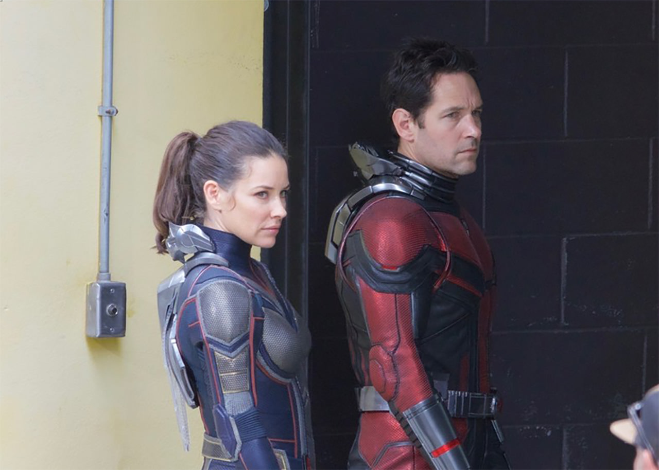 A Hangya és a Darázs