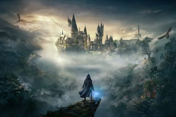 harrypotter