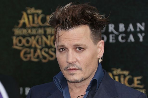 johnnydepp mini